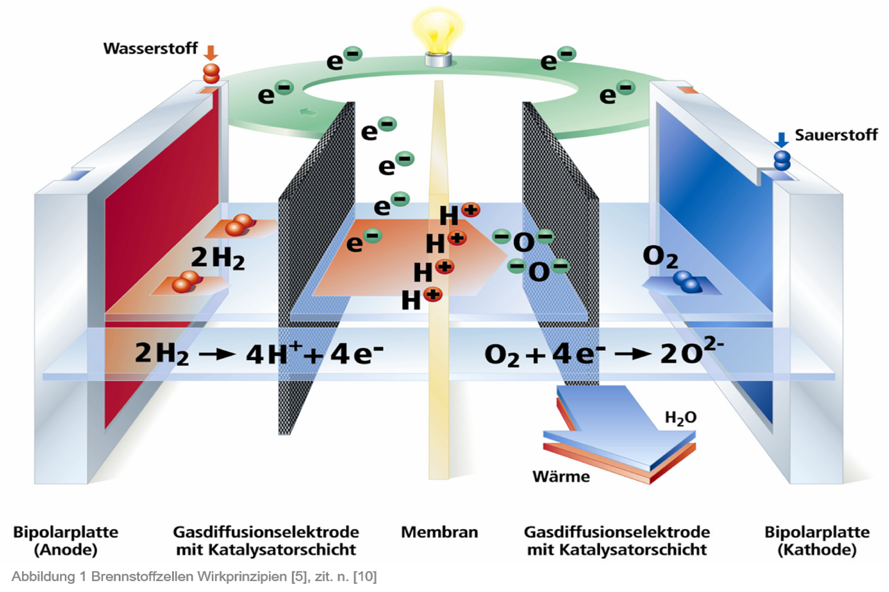 Bildergalerie HOERATH GmbH