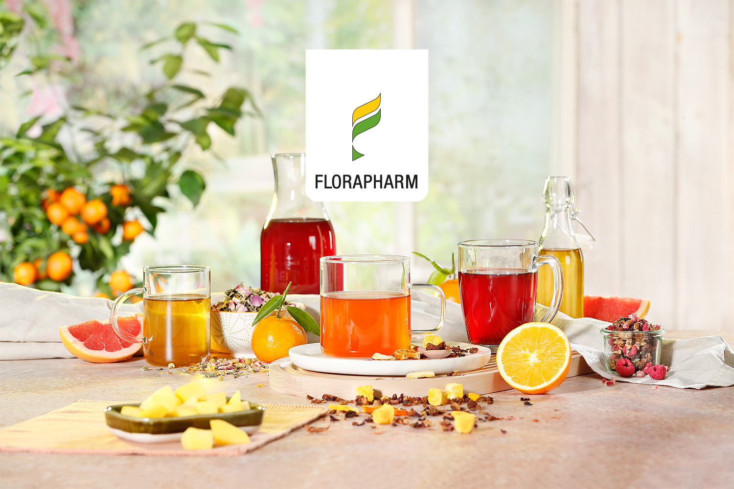 Bildergalerie Florapharm Pflanzliche Naturprodukte GmbH